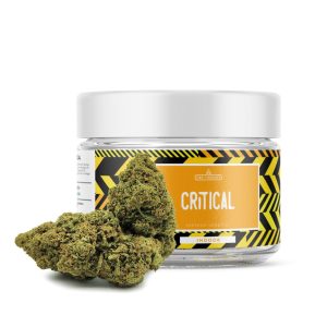 Critical CBD - CBD Tienda Online de Cannabis y Hierba Legal - CBD Terapia