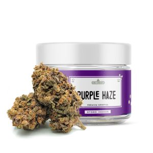 Purple Haze - CBD Shop Online para Cannabis y Hierba Legal - CBD Therapy